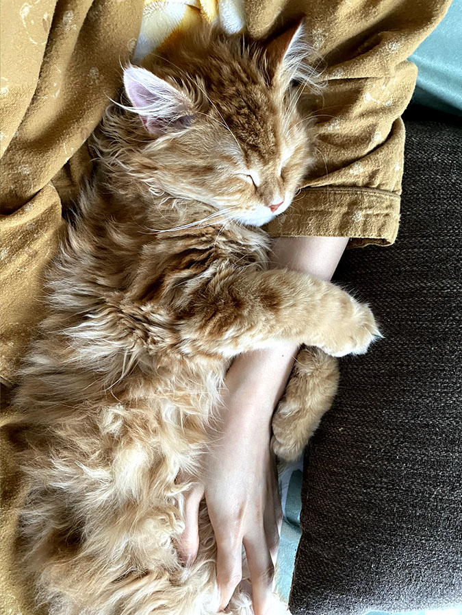 休日の過ごし方